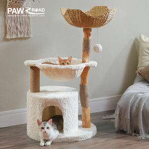 2 PAWZ Road official store Pet supplies collection