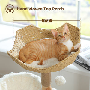 PAWZ Road Modern Cat Tree Natural Branch Cat Tower Luxury Furniture with Scratching Posts, White