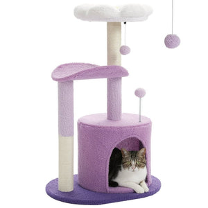 1 PAWZ Road official store Pet supplies collection