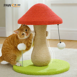 1 PAWZ Road official store Pet supplies collection